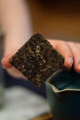 Hand holding a piece of pressed sheng pu erh tea. Chinese tea ceremony.
