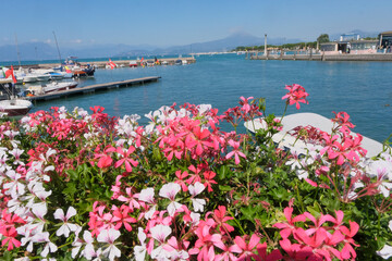 Desenzano del Garda, panorama of the port with flowers