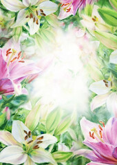 White  and pink lilies  floral background. Watercolor illustration.
