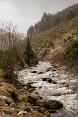 small mountain river surrounded by trees in the Tatras
