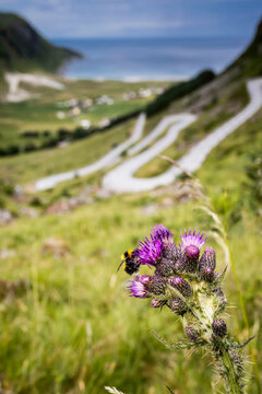 road in the mountains, Hoddevik Norway