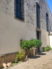 Wite houses in the street