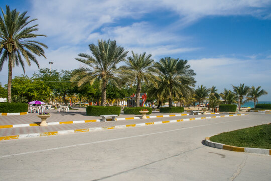 Palm trees in the park on a background of blue sky in Kish Island, Iran.