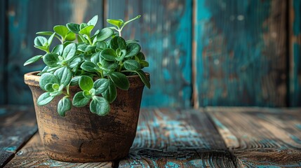 Indoor Purslane plant on tub on a rusty wooden surface and wooden backdrop with space for text or product, Generative AI
