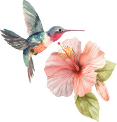 A colorful hummingbird is perched on a pink flower