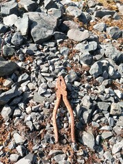 Old rusty pliers on the ground