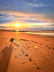 running dog on the beach