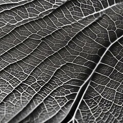 A close-up of a leaf with a intricate vein pattern3 - obrazy, fototapety, plakaty