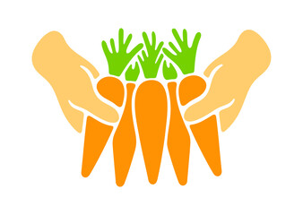 Harvesting carrots, vegetable, agriculture, food and meal. Harvest, plant, nature, leaf, leaves, nourishment and grocery, illustration
