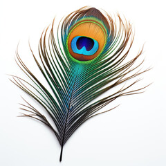 Obraz premium peacock feather on a white background сreated with Generative Ai