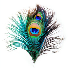 Obraz premium peacock feather on a white background сreated with Generative Ai