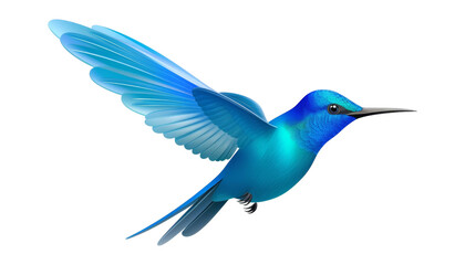 blue hummingbird isolated on transparent background cutout