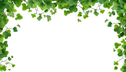 green leaves frame foreground isolated on transparent background cutout