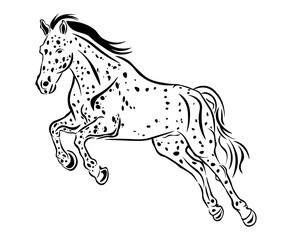 Striking illustration of a galloping spotted horse, perfect for themes involving motion, freedom, and equine beauty.