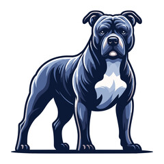 Obraz premium Pitbull bulldog full body vector illustration, Full-length portrait of a standing animal pet pitbull terrier dog. Design template isolated on white background