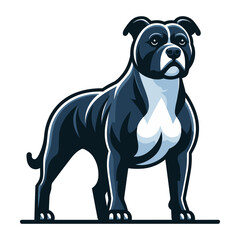 Fototapeta premium Pitbull bulldog full body vector illustration, Full-length portrait of a standing animal pet pitbull terrier dog. Design template isolated on white background