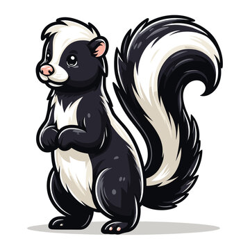 Skunk full body design illustration, wild mammal skunk with a large fluffy tail and black white stripe along the body, fauna animal concept. Vector template isolated on white background