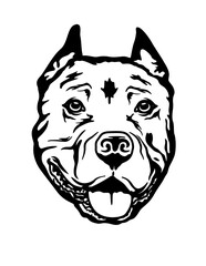American Pitbull | Masculine Dog | Dog Breed | Home Dog | Animal Lover | Pet shop | American Pit Bull Terrier | Original Illustration | Vector and Clipart | Cutfile and Stencil