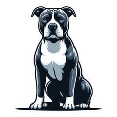 Obraz premium Pitbull bulldog full body design illustration, Full-length portrait of a sitting animal pet pitbull terrier dog. Vector template isolated on white background