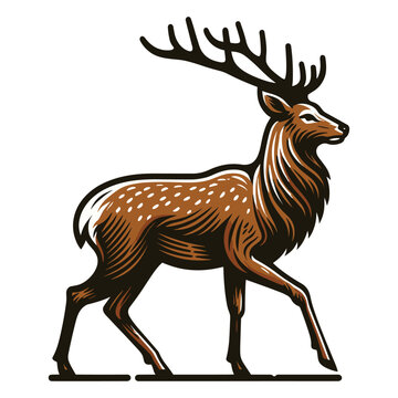 recommend clip art: Deer full body vector illustration, wild mammal animal concept, standing reindeer with antlers illustration. Design template isolated on white background