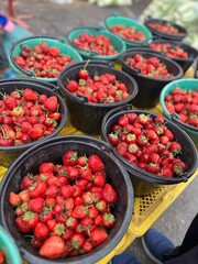 strawberries in a market