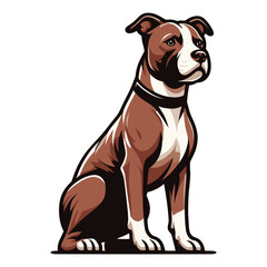 Pitbull bulldog full body design illustration, Full-length portrait of a sitting animal pet pitbull terrier dog. Vector template isolated on white background
