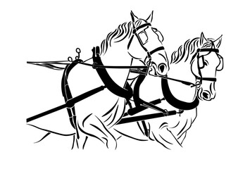Elegant hand drawn vector illustration of horses harnessed to a chariot, 