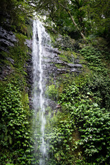 Beautiful waterfall named Paozilun waterfall in Shenkeng district, water go though the leafs splashed on the rocks, in New Taipei City, Taiwan.