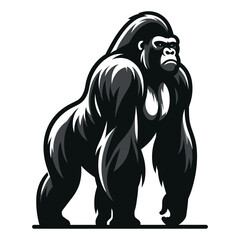 Fototapeta premium Wild gorilla full body design illustration, standing strong big ape concept, primate animal zoology element illustration, vector template isolated on white background