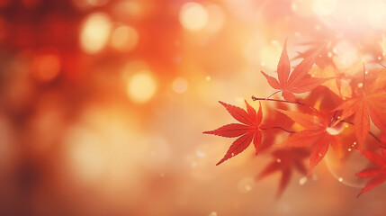 Naklejka na ściany i meble Brown and orange maple leaves wallpaper in autumn with blurred background