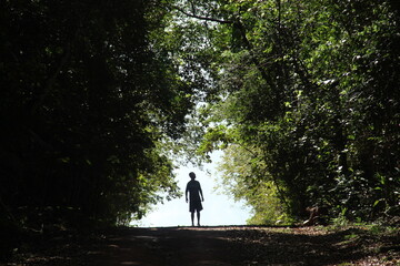 homem caminhando em floresta no amapá 