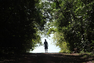 homem caminhando em floresta no amapá  - obrazy, fototapety, plakaty
