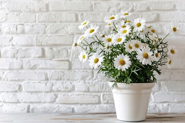 Fototapeta na wymiar a potted plant with white flowers