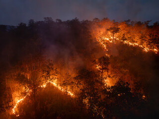 Bushfires in tropical forest release carbon dioxide (CO2) emissions and other greenhouse gases (GHG) that contribute to climate change. - 774958377