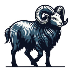 Fototapeta premium Bighorn horned ram sheep full body vector illustration, farm pet, animal livestock, butchery meat shop element, agriculture concept, design isolated on white background