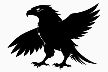 hawk bird silhouette black vector illustration