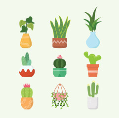 Houseplant Vector Collection Such as Succulents, Cactus, Caladium, Sansevieria, Heart Leaf Philodendron, etc