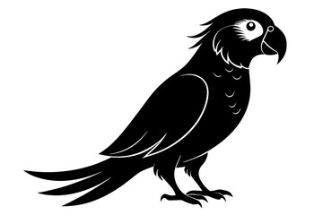 parrot bird silhouette black vector illustration