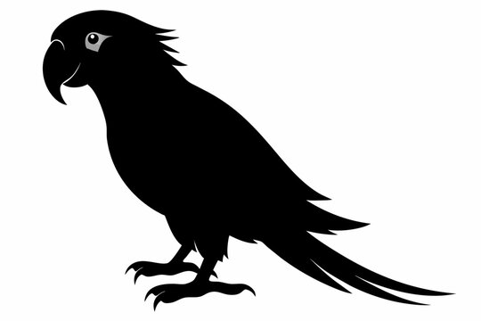 recommend clip art: parrot bird silhouette black vector illustration