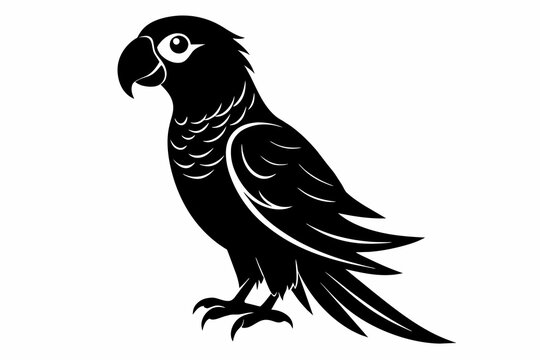 recommend clip art: parrot bird silhouette black vector illustration