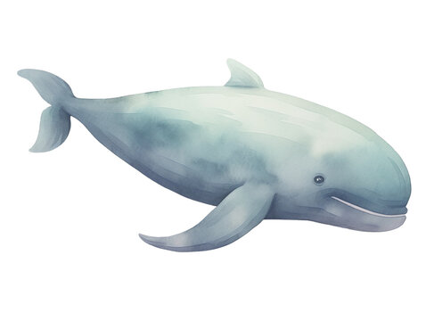 recommend clip art: A whale-shaped rubber float floats on the surface of the water,watercolor, cute, elegant, cartoon