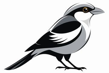 Naklejka premium silver breasted broadbill bird silhouette black vector illustration