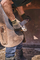 The farrier prepares the hoof for shoeing. He rasps off the excess hoof wall, and shapes the hoof...