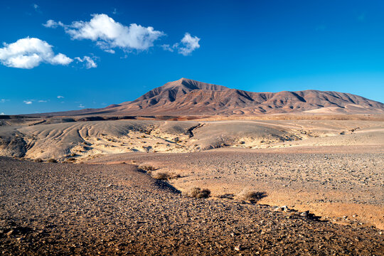 The volcanic landscape of the island of Lanzarote.
Volcanoes in Lanzarote. Sunny day on the islands Lanzarote.