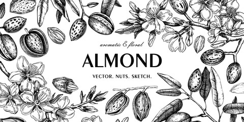 Almond background. Blooming branches, flowers, almond nut sketches. Hand drawn vector illustration. Botanical frame design. NOT AI generated