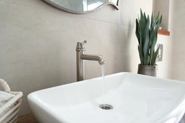 Luxury white sink in the bathroom with a pot plant and white ceramic wall