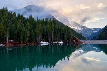Beautiful view of a reflective lake and a forest with trees