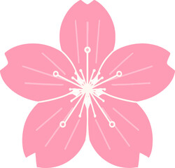 flowers blossom and cherry blossom