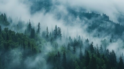 A mysterious mountain forest scene engulfed in fog AI generated illustration - obrazy, fototapety, plakaty