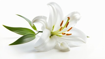 A single lily symbolizing purity and resurrection ag  AI generated illustration